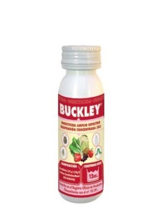 Buckley jed 12cc