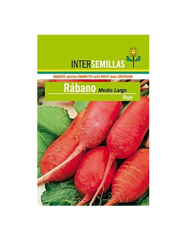 Llavor hortícola Rabanet punta blanca Cumbre