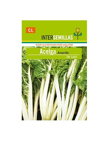Llavor hortícola bleda verda Blanver (25 gr)