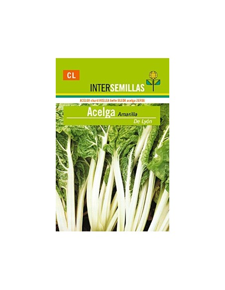 Llavor hortícola bleda verda Blanver (25 gr)