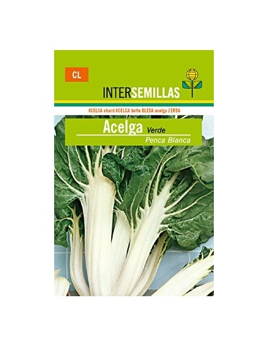 Llavor hortícola bleda verda Blanver (25 gr)