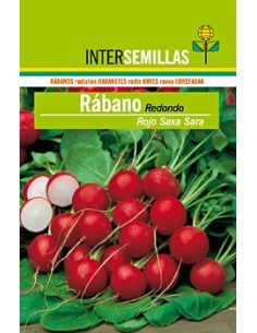Semilla Rabano redondo rojo Saxa Sara