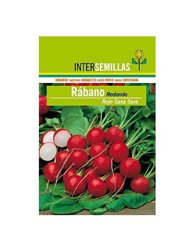 Semilla Rabano redondo rojo Saxa Sara