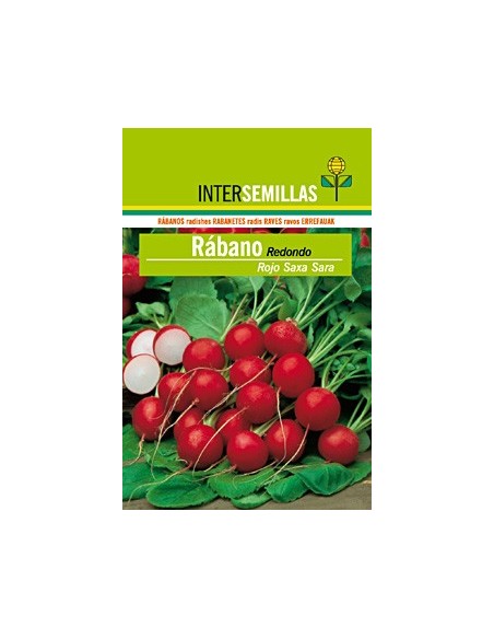 Semilla Rabano redondo rojo Saxa Sara