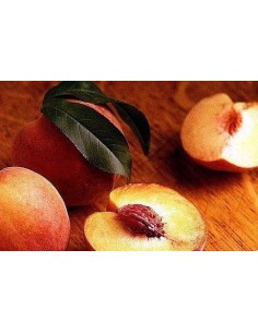 Presseguer Flavorcrest