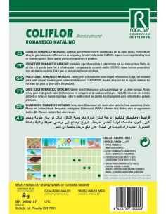 Llavor Coliflor Romanesco natalino 2