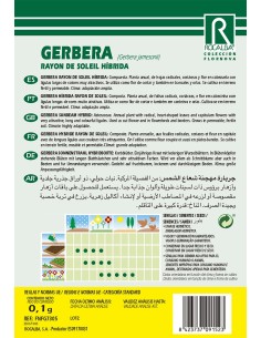 Semilla Gerbera Rayon de soleil Hibrida 2