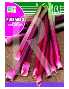 Llavor Ruibarbre Victoria