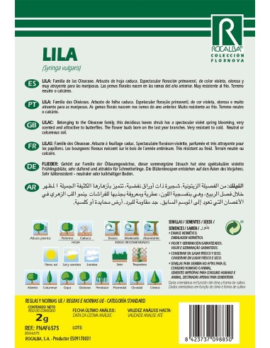 Llavor aromàtica Cilantre