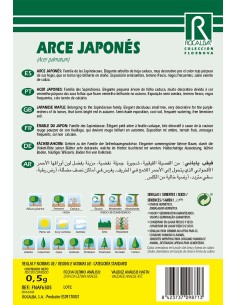 Semilla arce japonés (acer palmatum) 2