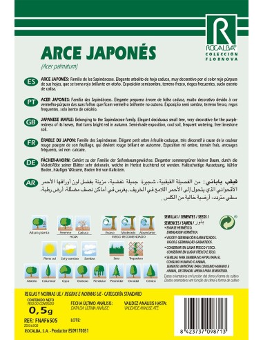 Llavor Auró japonès (acer palmatum)