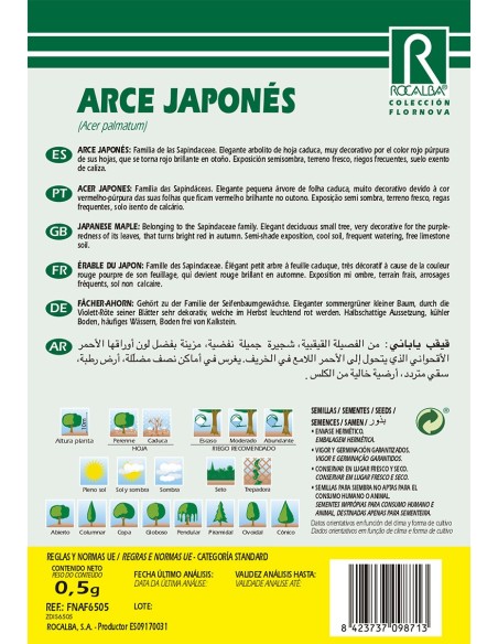 Llavor Auró japonès (acer palmatum)