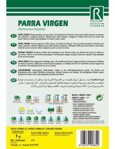 Semilla parra virgen (pathenosisus tricuspidata) 2