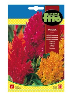 Llavor ornamental Petúnia compacta enana vermella