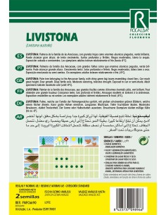 Semilla Livistonia 2