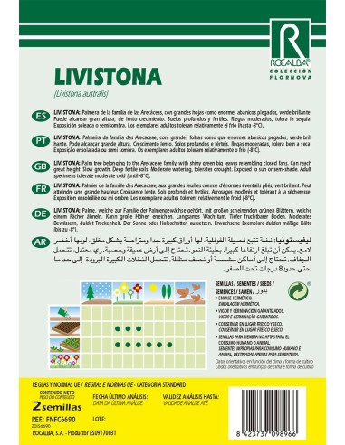 Semilla Livistonia