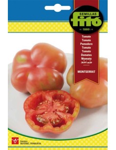 Llavor hortícola Tomàquet Americà