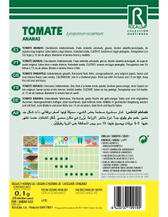 Llavor aromàtica Cilantre 2