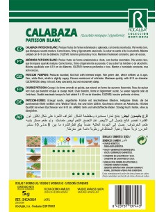 Semente de abóbora gigante do Atlântico 2