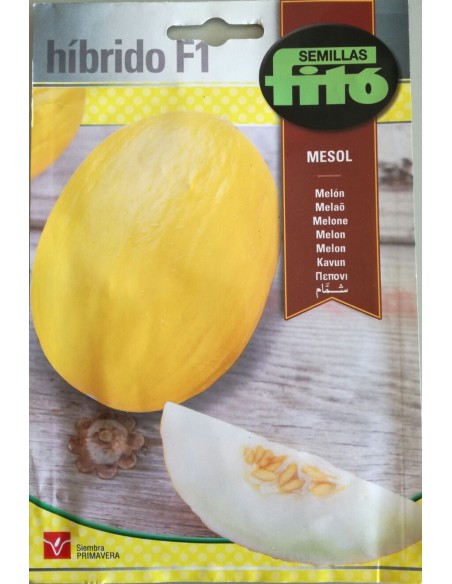 Semilla Melón Mesol F1 (híbrida)