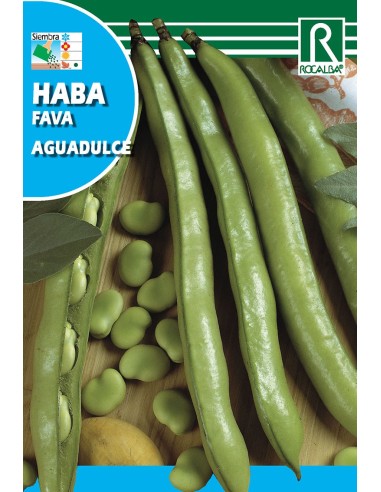Semente de feijão aguadulce