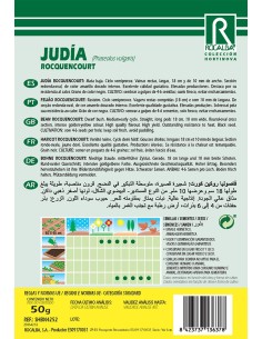 Rocquencourt Semente Judaica 2