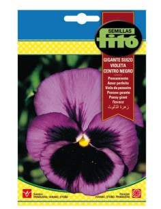 Llavor ornamental Pensament gegant suís groc