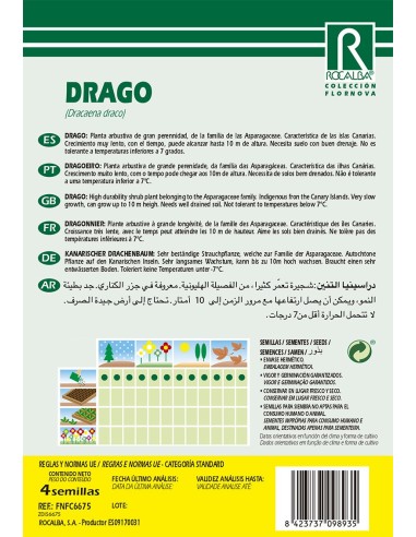 Semente de dragoeiro (Creacaena draco)