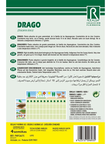 Semente de dragoeiro (Creacaena draco)
