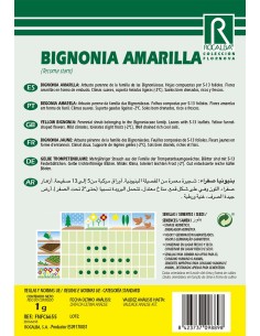 Llavor aromàtica Cilantre 2