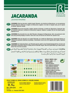 Semente de Jacarandá 2
