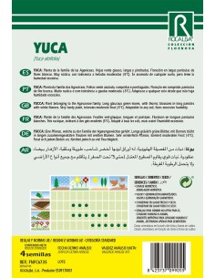 Llavor aromàtica Cilantre 2