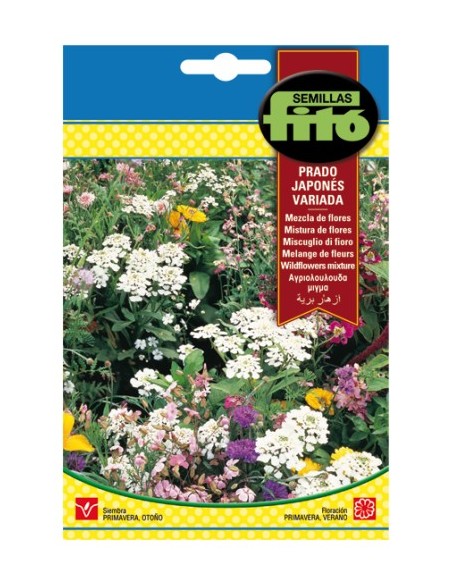 Llavor Prat japonès variat (mescla de flors)