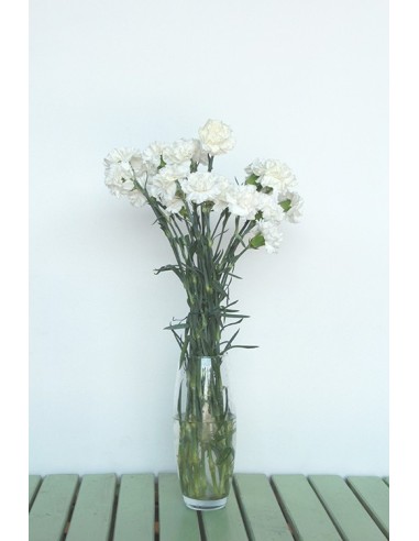Ram de Clavell Blanc