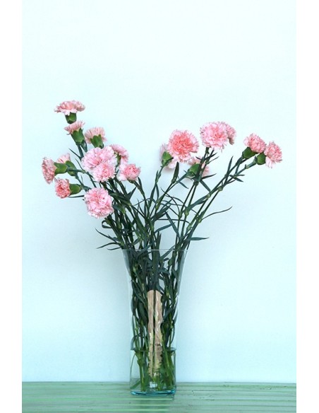 Ram de Clavell Rosa