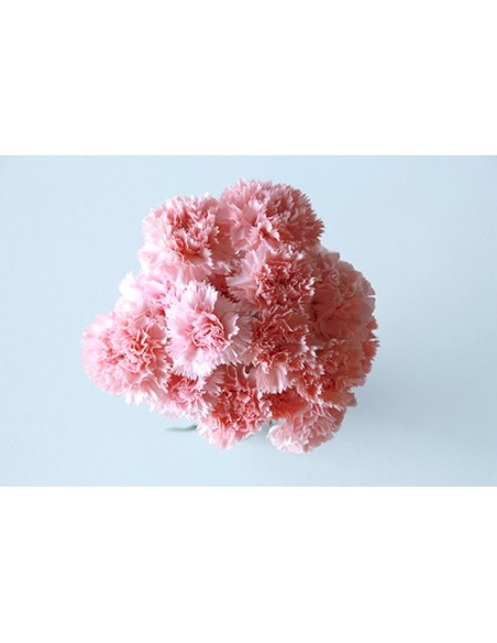 Ram de Clavell Rosa Clar