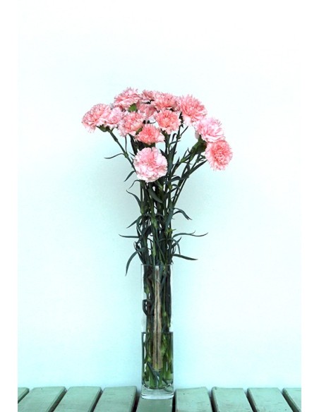 Ram de Clavell Rosa Clar