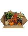 Accessoires d'Halloween