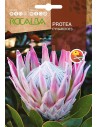 Llavor protea