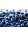 Arbustos de frutas vermelhas