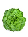 Lechuga y otros ensalada profesional