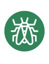 Mosquito verde