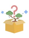 Bonsaibox
