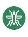 Mosquit