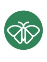 Mariposas
