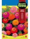 Llavor ornamentals i flor