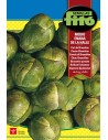 Graines de chou, chou-fleur, brocoli et chicorée