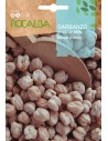 Graines de pois chiches et lentilles