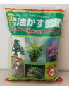 Adob bonsai