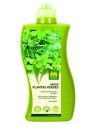 Adob plantes d'interior
